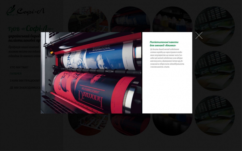 Creation website Sofi-l